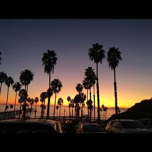 Meet your Posher, Zoey